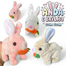 Coelhinho da Pascoa