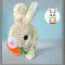 Coelhinho da Pascoa