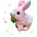 Coelhinho da Pascoa